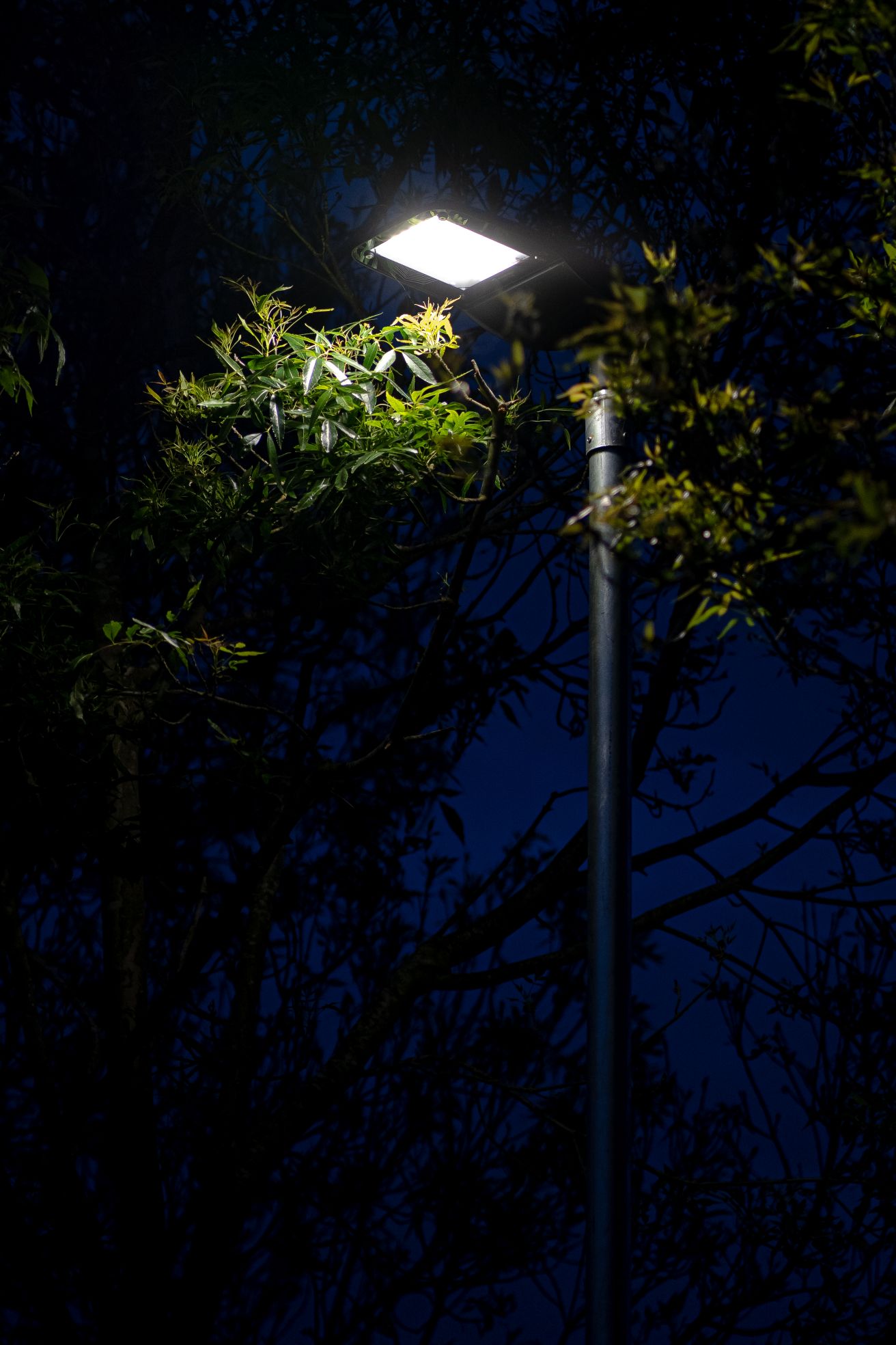 Costa Coffee Ollerton illuminated exterior